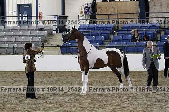 Proof Number 10r14_2542