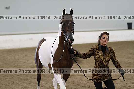 Proof Number 10r14_2543