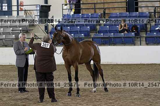 Proof Number 10r14_2547