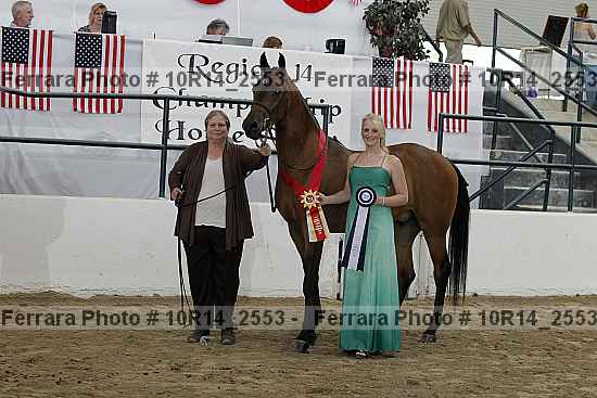Proof Number 10r14_2553