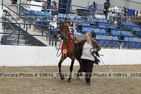 Proof Number 10r14_2556