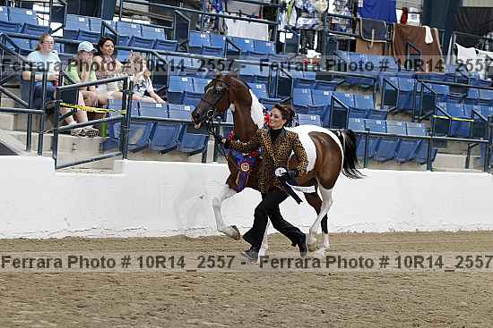 Proof Number 10r14_2557
