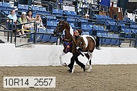 10r14_2557 thumbnail