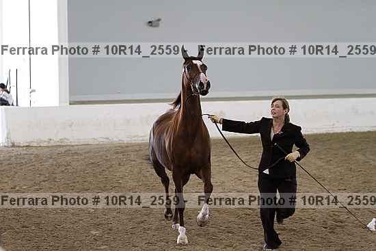 Proof Number 10r14_2559