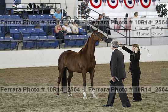 Proof Number 10r14_2564