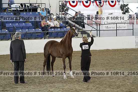 Proof Number 10r14_2565