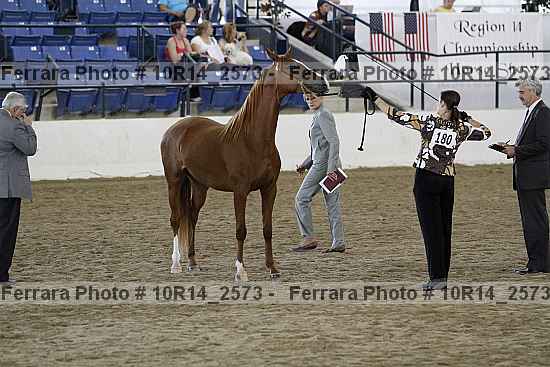 Proof Number 10r14_2573