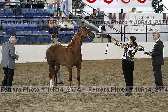 Proof Number 10r14_2574
