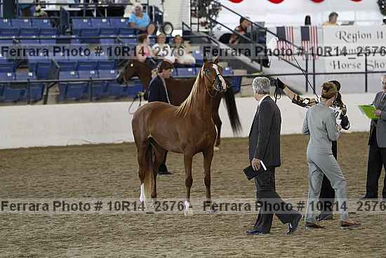 Proof Number 10r14_2576
