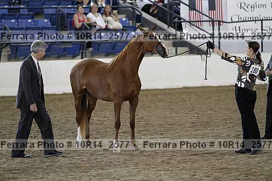 Proof Number 10r14_2577