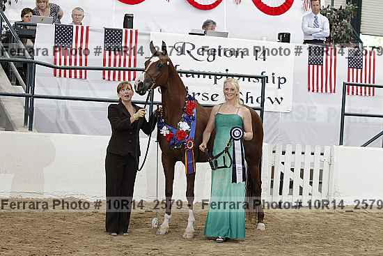 Proof Number 10r14_2579