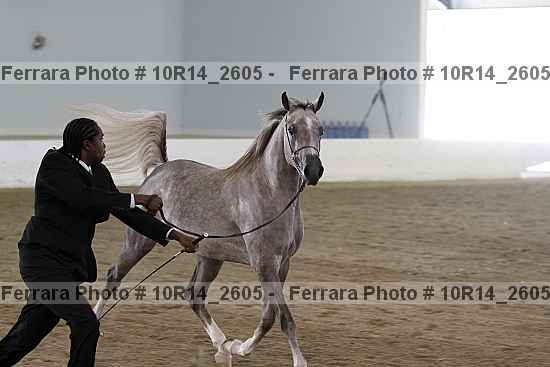 Proof Number 10r14_2605