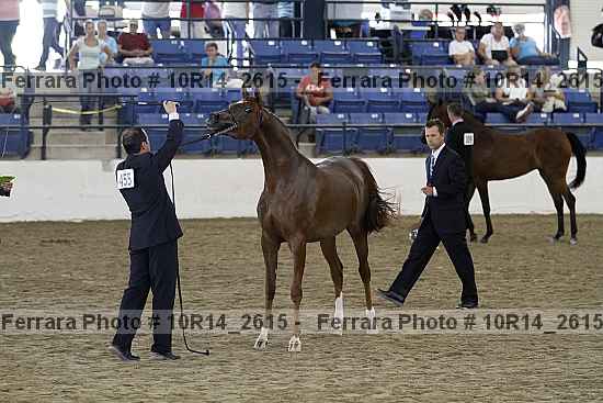 Proof Number 10r14_2615