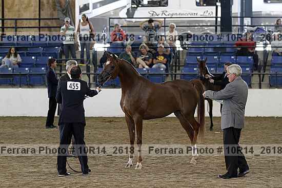 Proof Number 10r14_2618