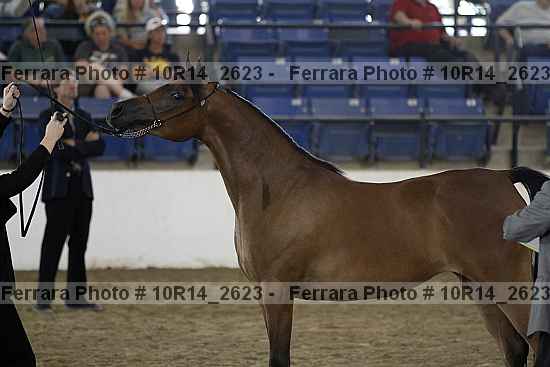Proof Number 10r14_2623
