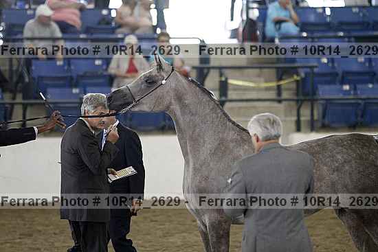 Proof Number 10r14_2629