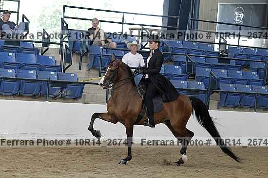 Proof Number 10r14_2674