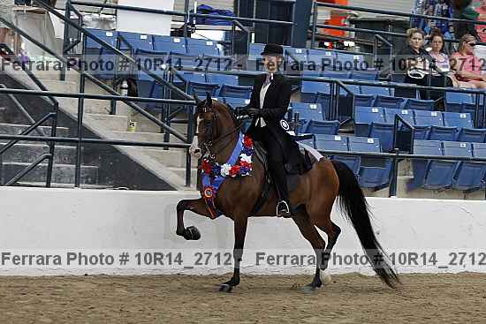 Proof Number 10r14_2712