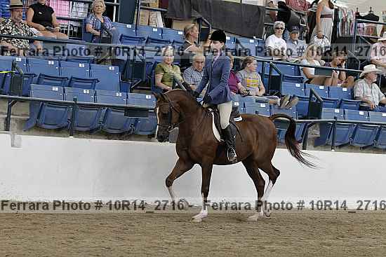 Proof Number 10r14_2716
