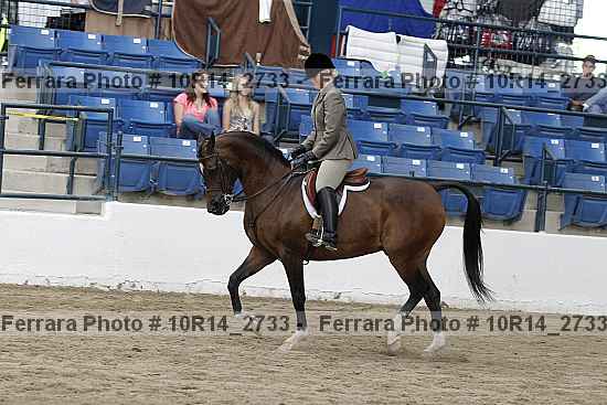 Proof Number 10r14_2733