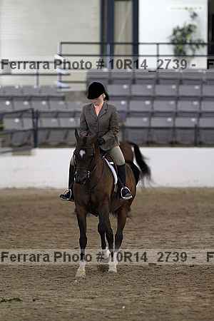 Proof Number 10r14_2739