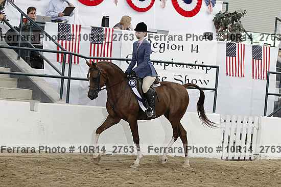 Proof Number 10r14_2763