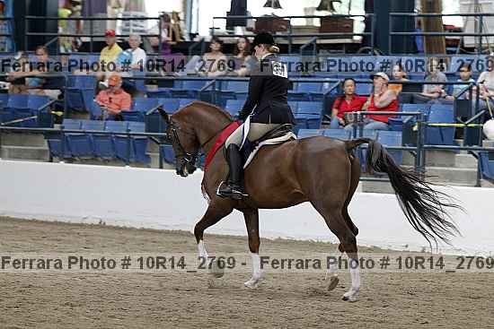 Proof Number 10r14_2769