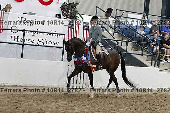Proof Number 10r14_2782