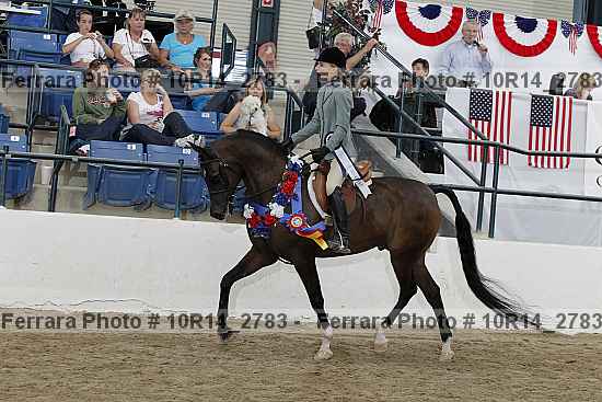 Proof Number 10r14_2783