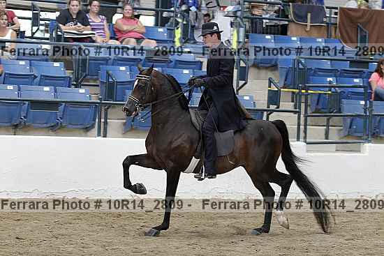 Proof Number 10r14_2809