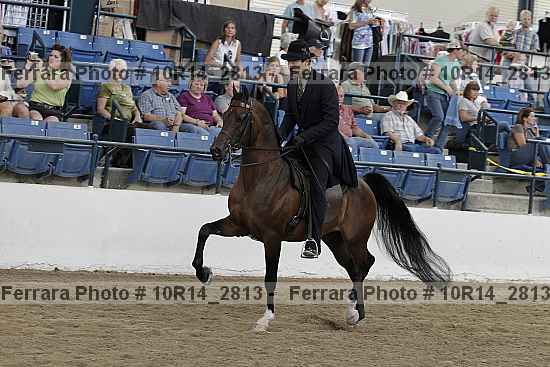 Proof Number 10r14_2813