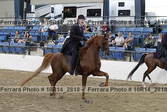 Proof Number 10r14_2818