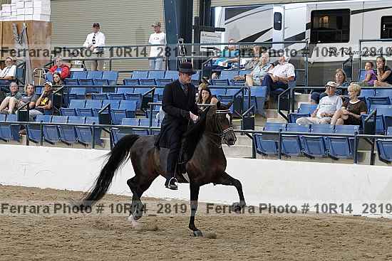 Proof Number 10r14_2819