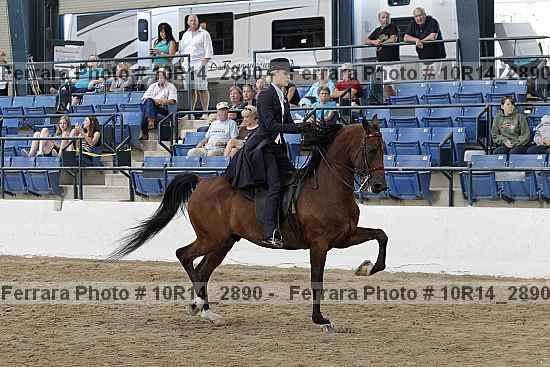 Proof Number 10r14_2890