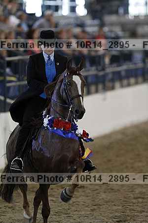 Proof Number 10r14_2895