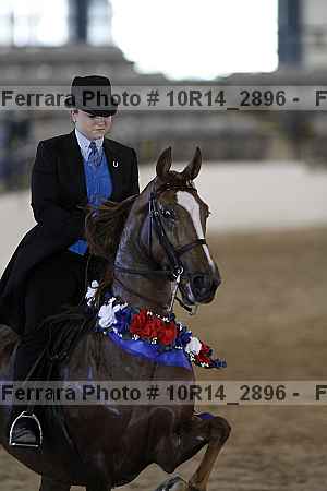 Proof Number 10r14_2896