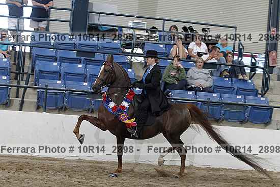 Proof Number 10r14_2898