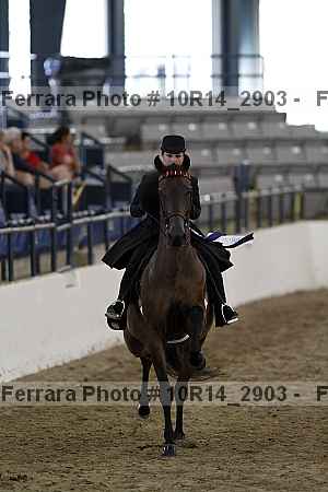 Proof Number 10r14_2903