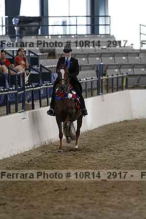 Proof Number 10r14_2917