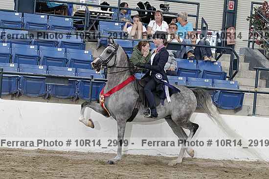 Proof Number 10r14_2919