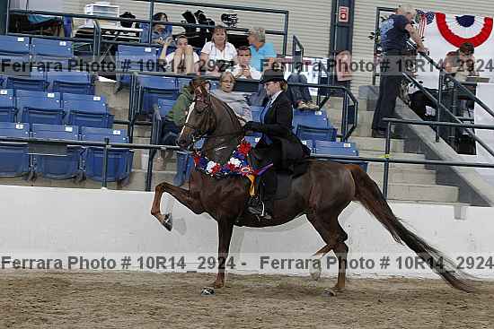 Proof Number 10r14_2924