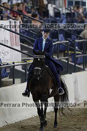 Proof Number 10r14_2950