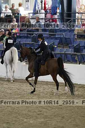 Proof Number 10r14_2959