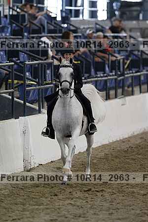 Proof Number 10r14_2963