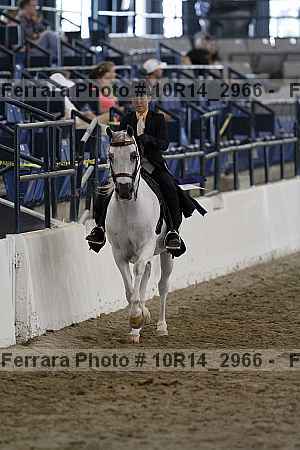 Proof Number 10r14_2966