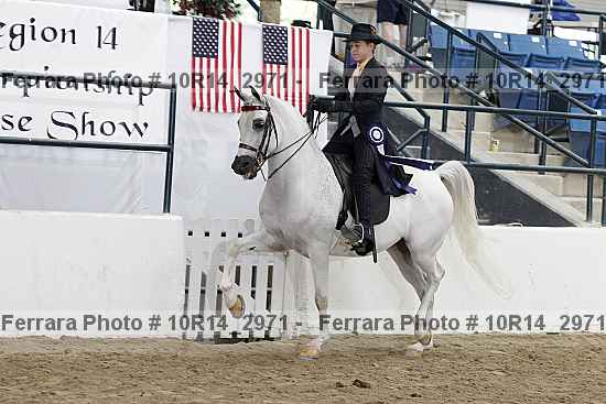 Proof Number 10r14_2971