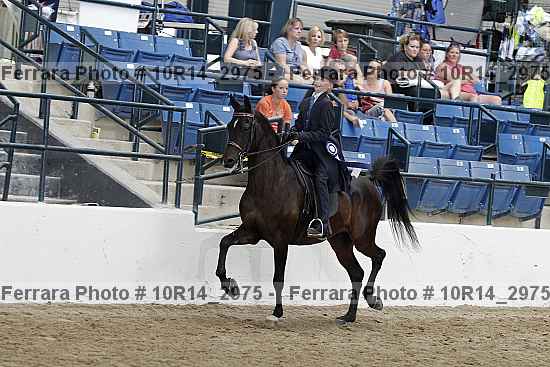 Proof Number 10r14_2975