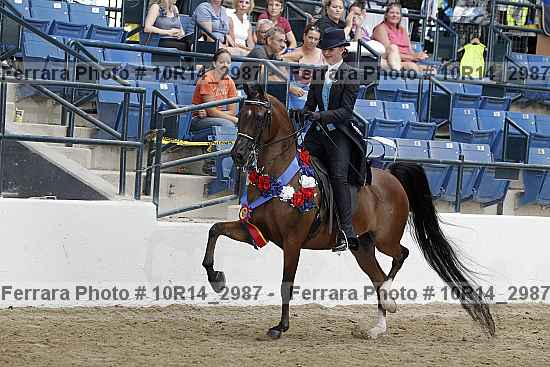 Proof Number 10r14_2987