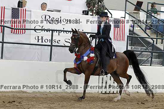 Proof Number 10r14_2988