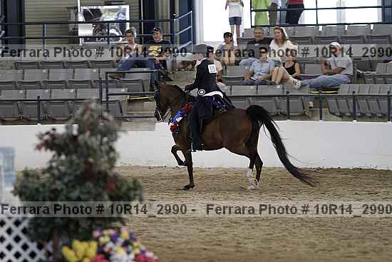 Proof Number 10r14_2990